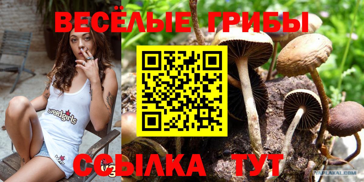 Галлюциногенные грибы мухоморы Стерлитамак