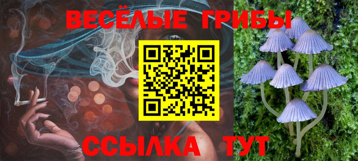 Галлюциногенные грибы Cubensis  Вход с VPN  Стерлитамак 